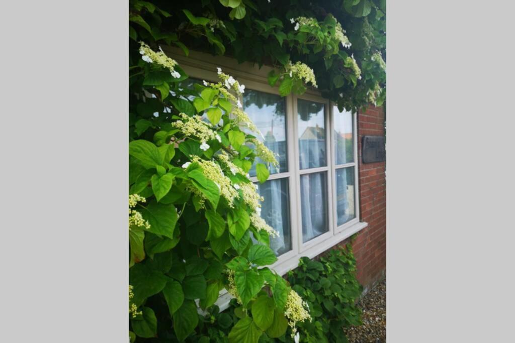 Blakeney Norfolk Bramble Lodge ***Self Catering*** Экстерьер фото
