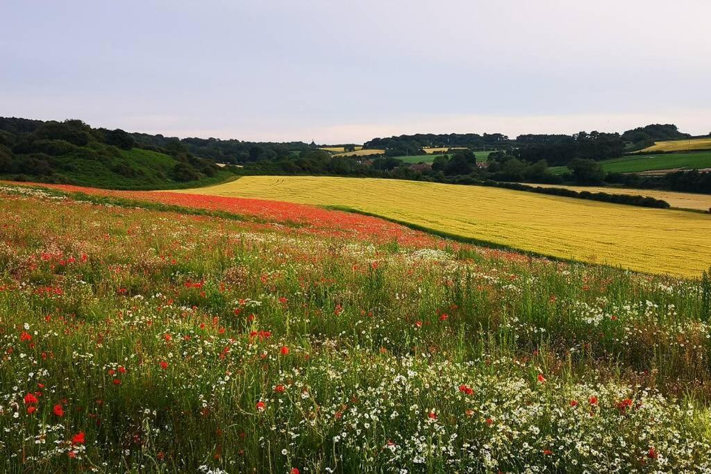 Blakeney Norfolk Bramble Lodge ***Self Catering*** Экстерьер фото